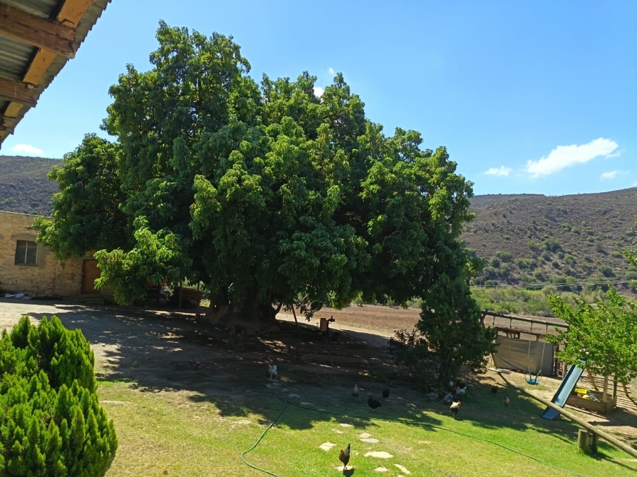 9 Bedroom Property for Sale in Oudtshoorn Rural Western Cape